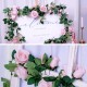 Roseranke, Rosa Roser