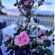 Roseranke, Rosa Roser