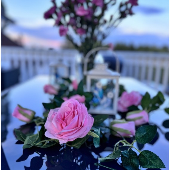 Roseranke, Rosa Roser