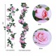 Roseranke, Rosa Roser