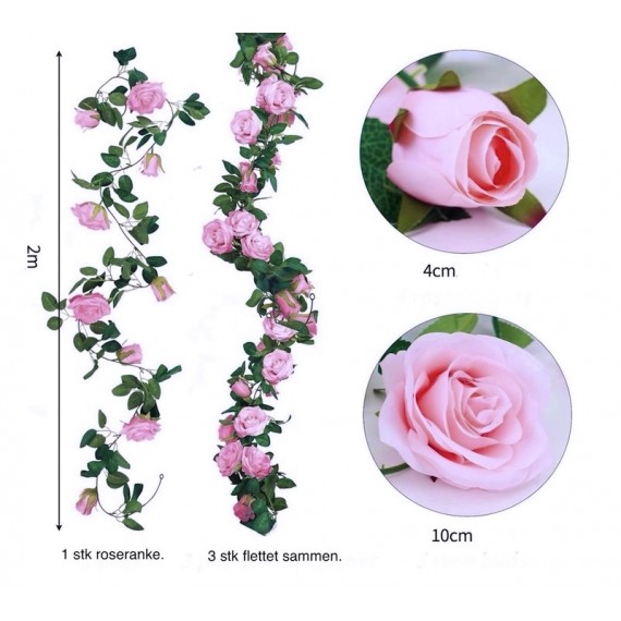 Roseranke, Rosa Roser