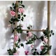 Roseranke, Rosa Roser