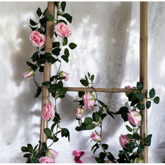 Roseranke, Rosa Roser
