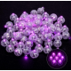 Rosa LED kuler