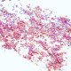 Rosa Shimmer Bordkonfetti