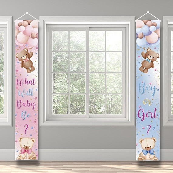 Boy or Girl Banner