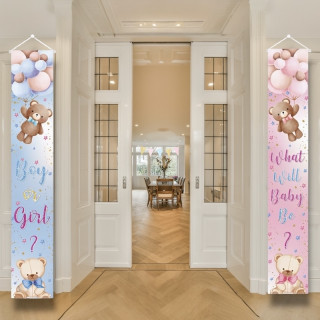 Boy or Girl Banner