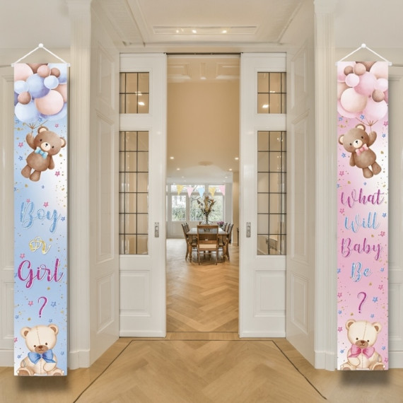 Boy or Girl Banner