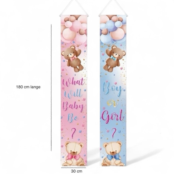 Boy or Girl Banner