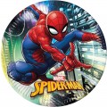 Spider-Man Tallerken 23 cm