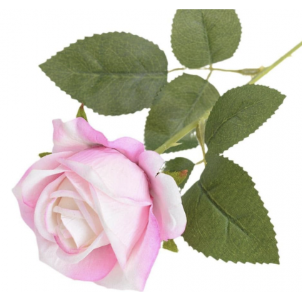 Rosa Langstilkede Kunstroser