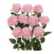 Rosa Langstilkede Kunstroser