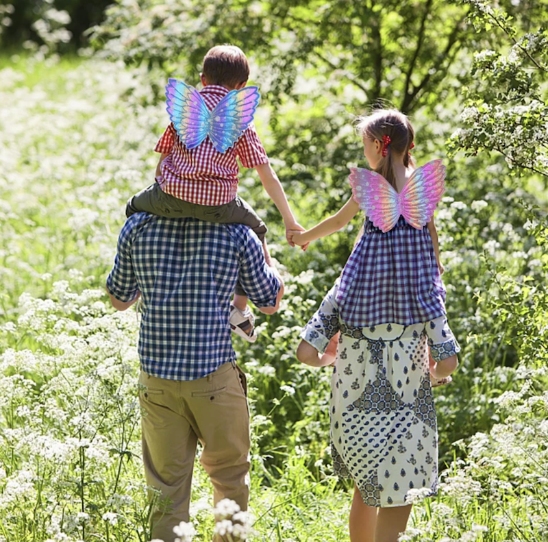 Sommerfuglvinger med Glitter