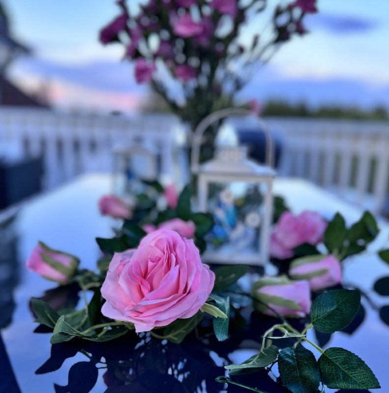 Roseranke, Rosa Roser