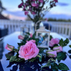 Roseranke, Rosa Roser