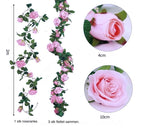 Roseranke, Rosa Roser