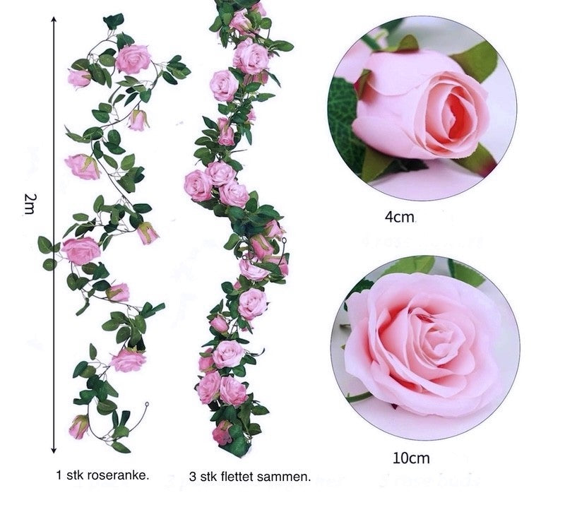 Roseranke, Rosa Roser