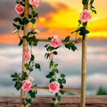 Roseranke, Rosa Nyanser