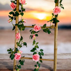 Roseranke, Rosa Nyanser