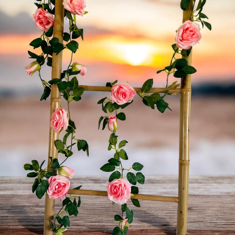 Roseranke, Rosa Nyanser