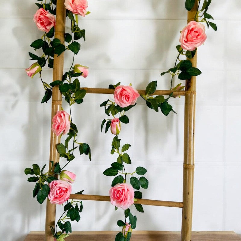 Roseranke, Rosa Nyanser
