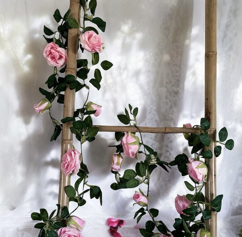 Roseranke, Rosa Roser