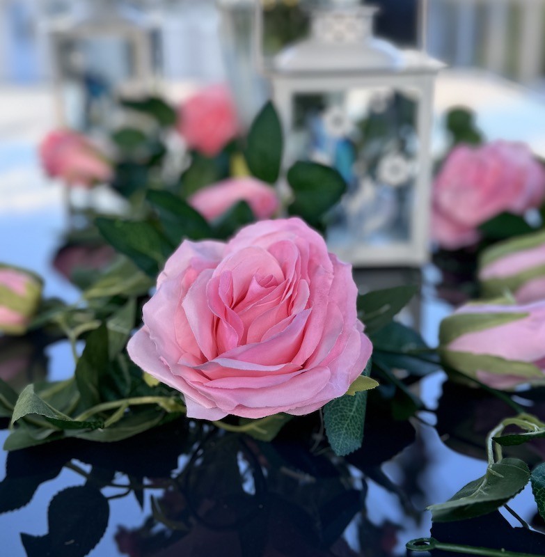 Roseranke, Rosa Roser