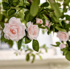 Roseranke, Dus Rosa