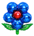 Folieblomst, Blå og Rød