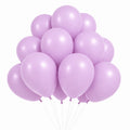 Tara Purple Ballonger, 20 stk