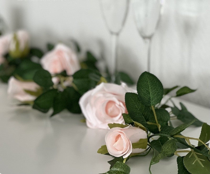 Roseranke, Dus Rosa