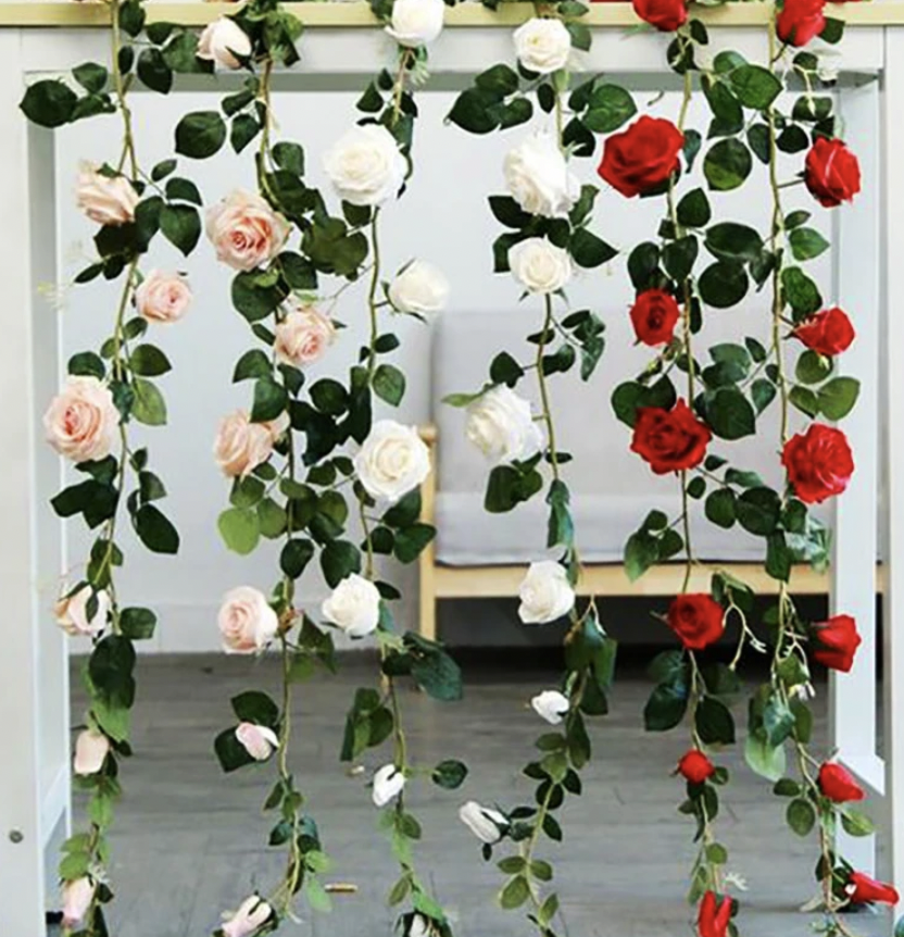 Roseranke, Dus Rosa