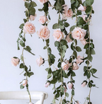 Roseranke, Dus Rosa