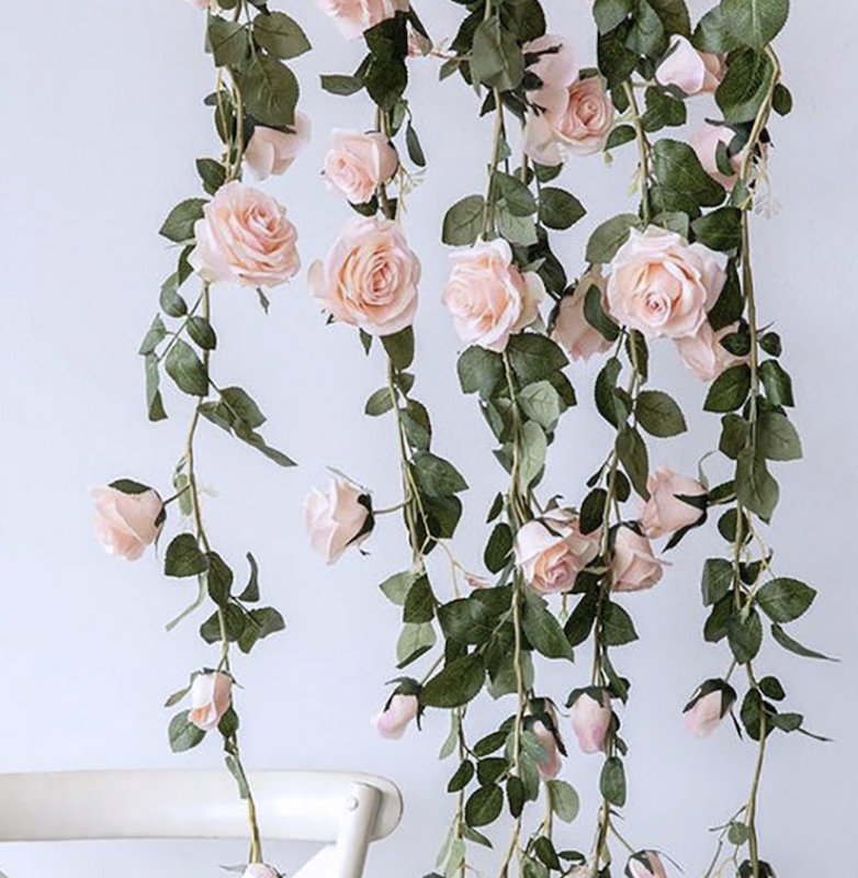 Roseranke, Dus Rosa