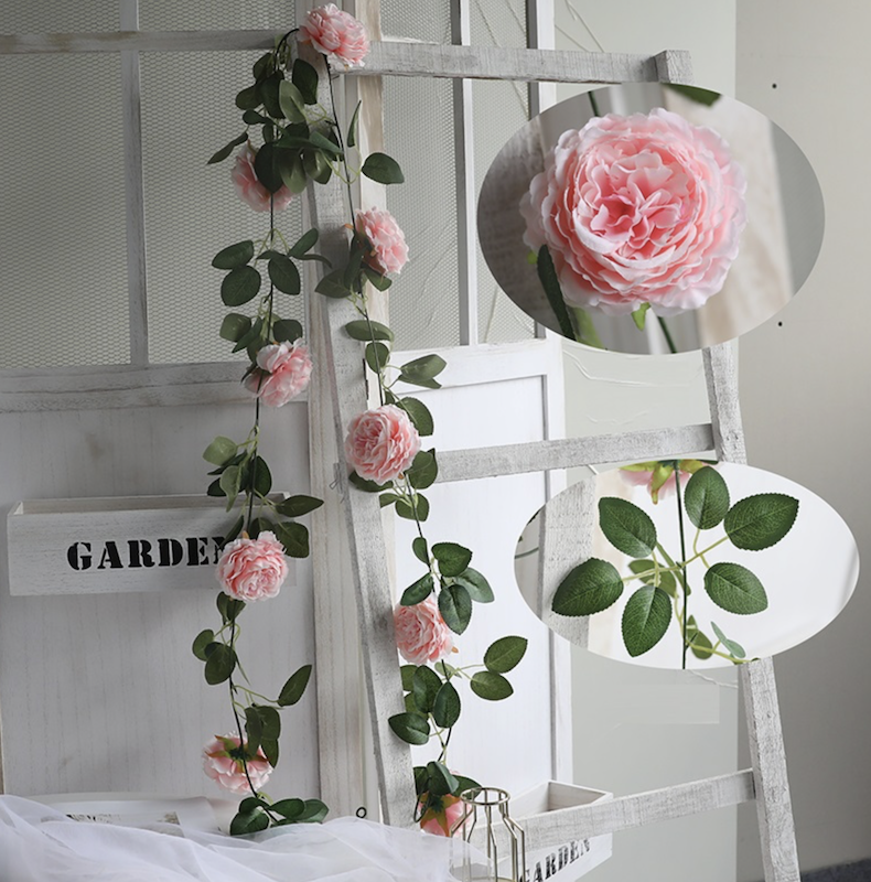 Roseranke, Rosa Hageroser