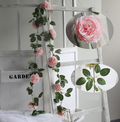 Roseranke, Rosa Hageroser