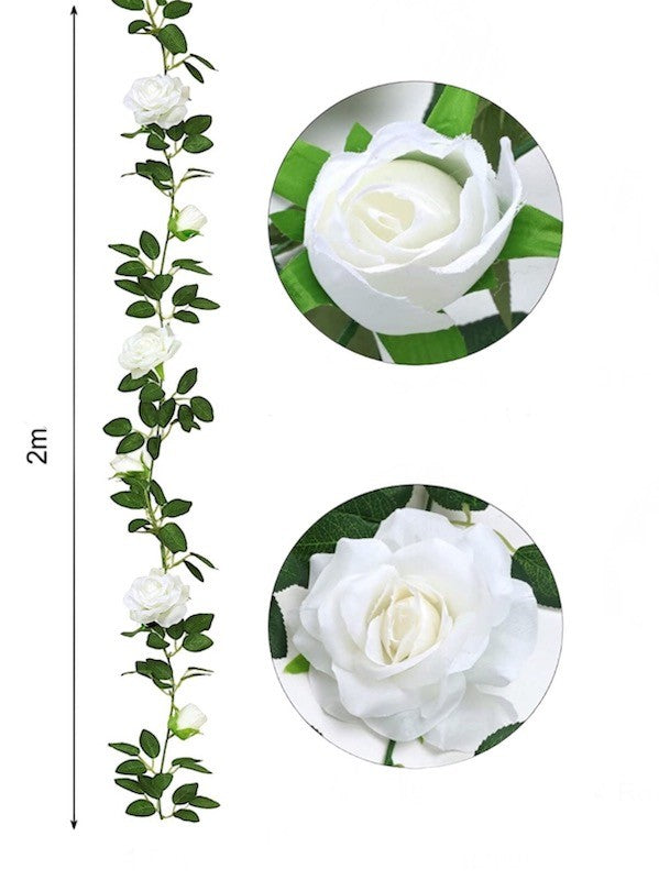 Roseranke, Silkehvite Roser