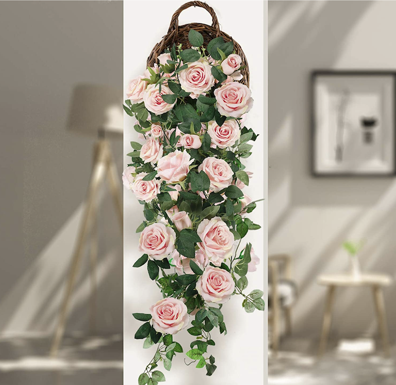 Roseranke, Dus Rosa