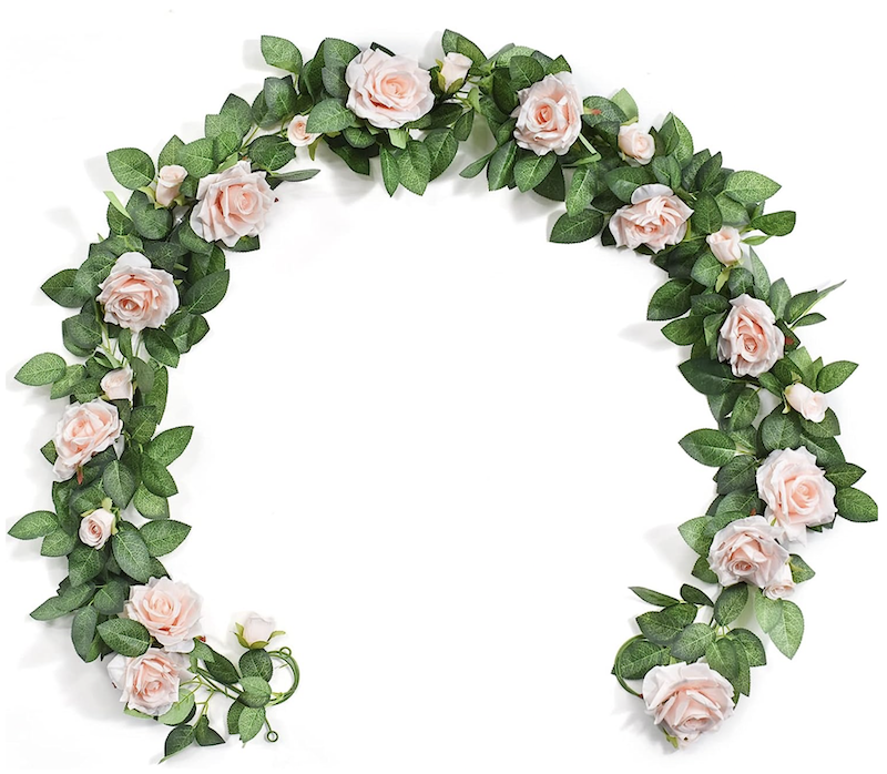 Roseranke, Dus Rosa