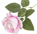 Rosa Langstilkede Kunstroser