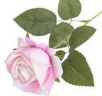 Rosa Langstilkede Kunstroser