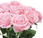 Rosa Langstilkede Kunstroser
