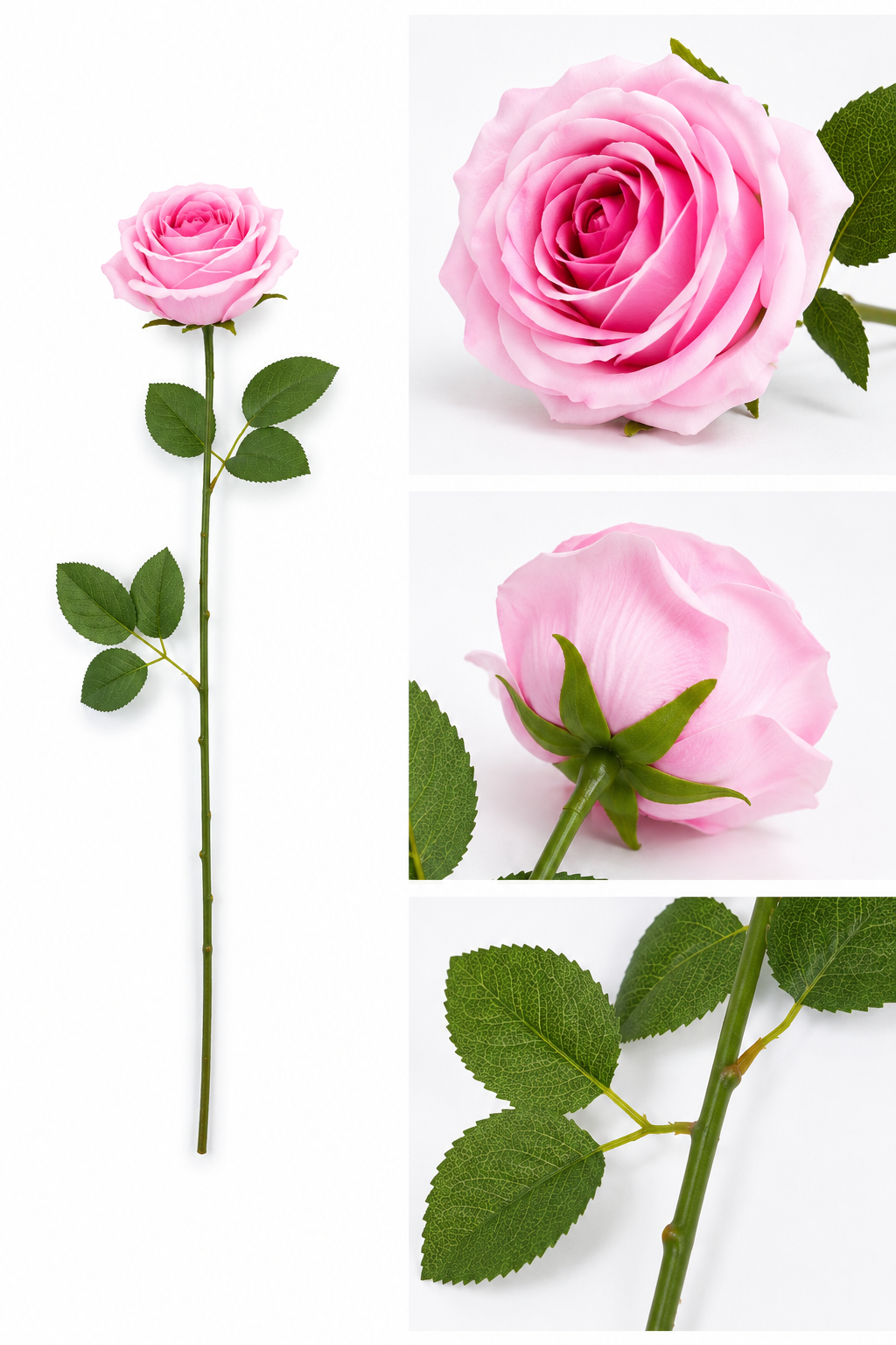 Rosa Nyanser Langstilket Kunstrose