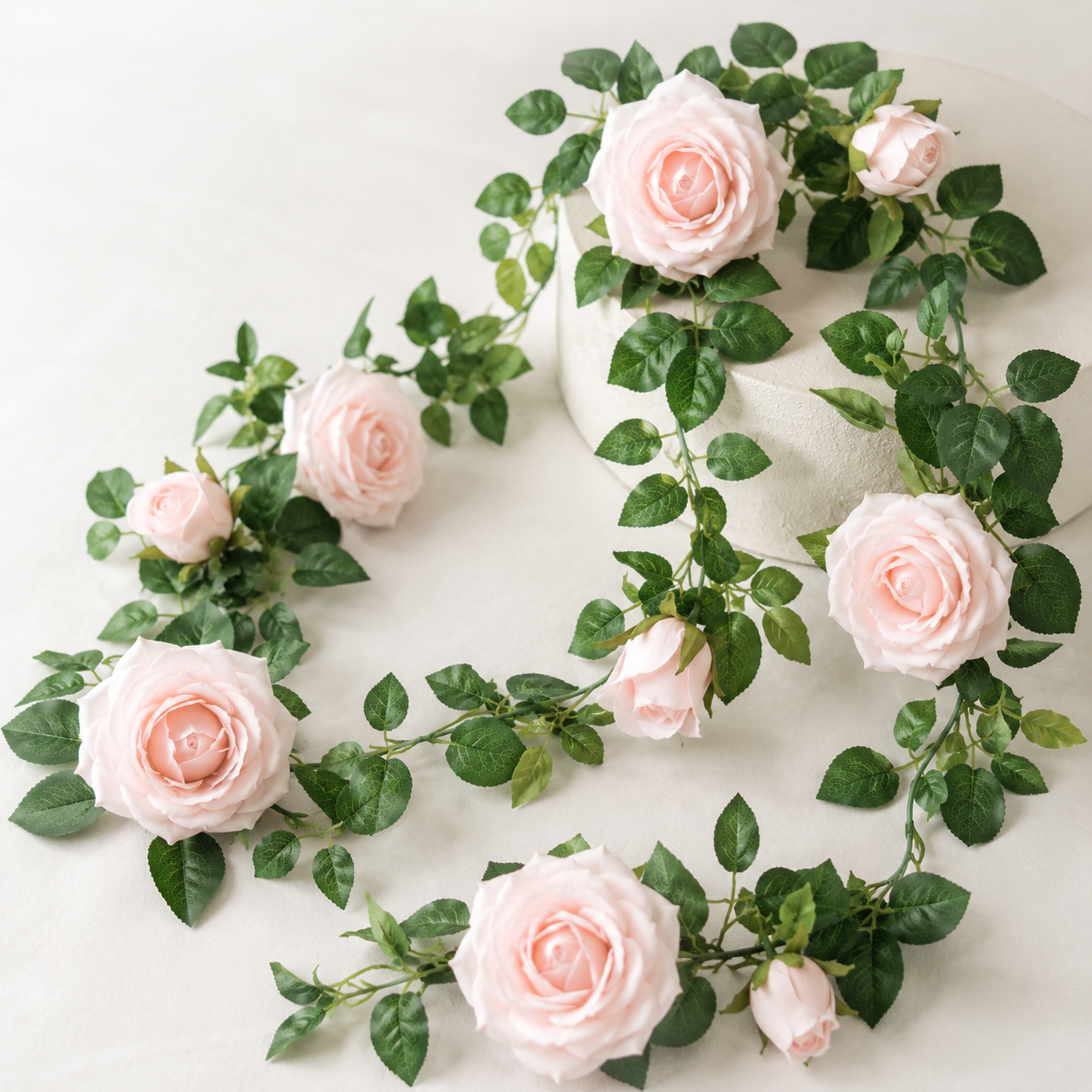Roseranke, Dus Rosa