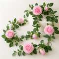 Roseranke, Rosa Roser